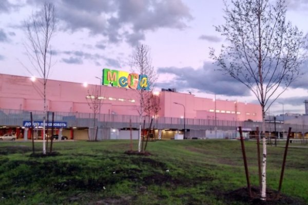 Кракен даркнет зеркало пв
