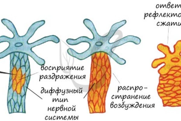 Кракен купить меф