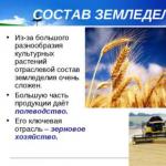 Возникновение земледелия и скотоводства Скачать презентацию на тему земледелие