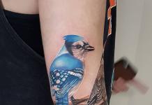 Тату птицы – значение и эскизы для девушек и мужчин Эскизы татуировка птицы на руке для девушек